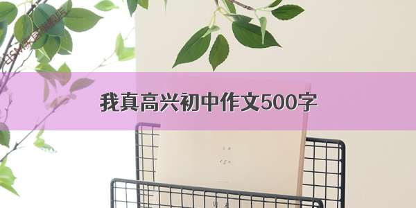 我真高兴初中作文500字