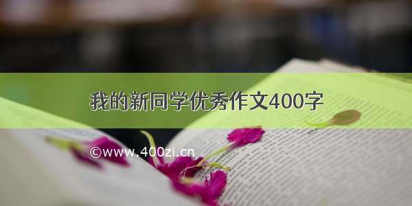 我的新同学优秀作文400字