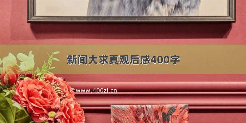 新闻大求真观后感400字