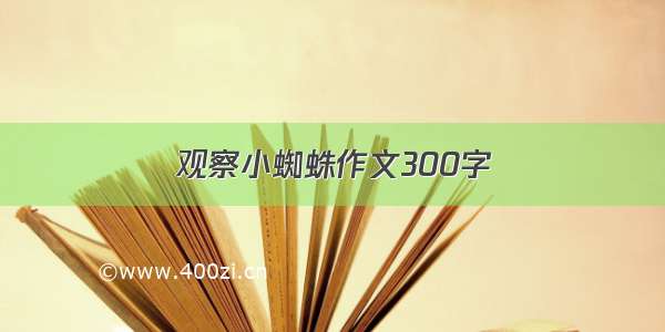 观察小蜘蛛作文300字