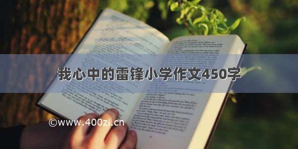 我心中的雷锋小学作文450字