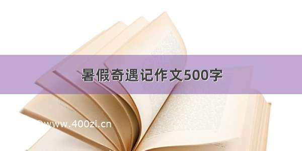 暑假奇遇记作文500字