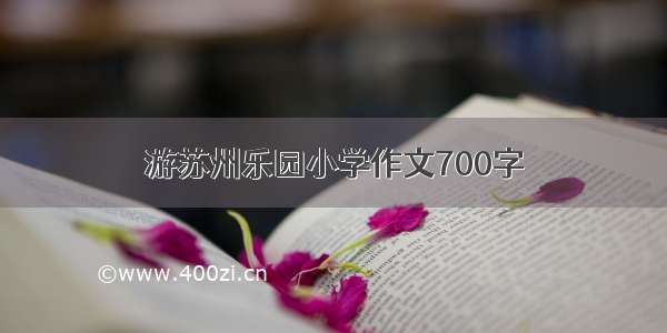 游苏州乐园小学作文700字