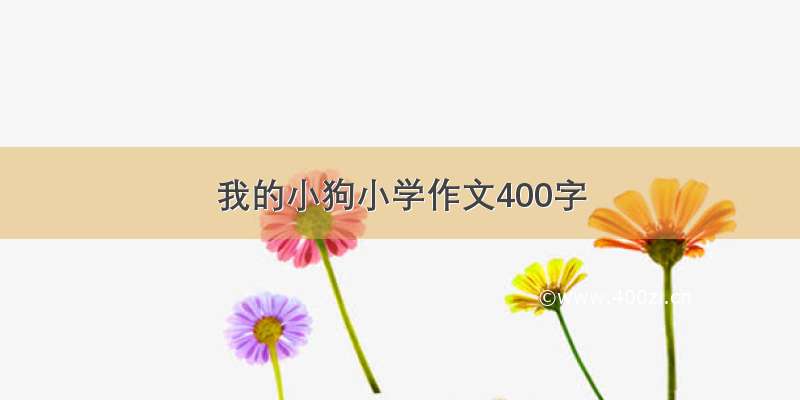 我的小狗小学作文400字