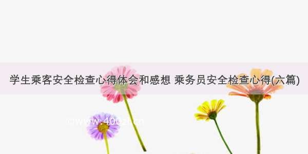 学生乘客安全检查心得体会和感想 乘务员安全检查心得(六篇)