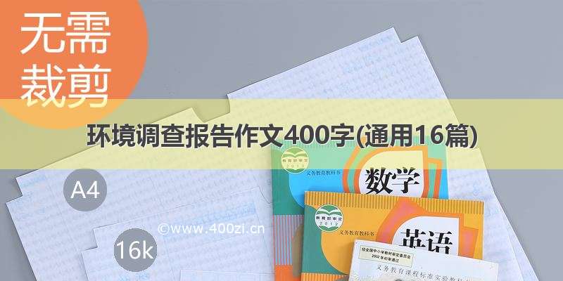 环境调查报告作文400字(通用16篇)