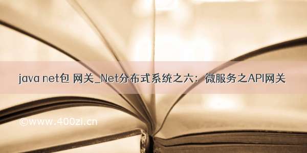 java net包 网关_Net分布式系统之六：微服务之API网关