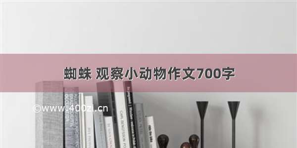 蜘蛛 观察小动物作文700字