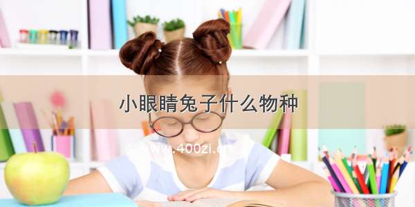 小眼睛兔子什么物种