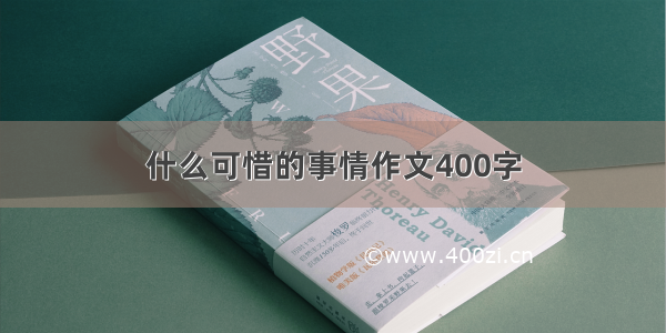 什么可惜的事情作文400字