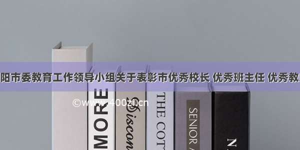 中共岳阳市委教育工作领导小组关于表彰市优秀校长 优秀班主任 优秀教师 优秀