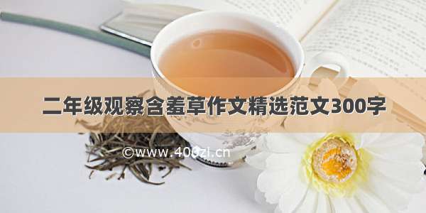 二年级观察含羞草作文精选范文300字