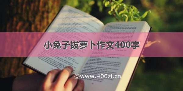 小兔子拔萝卜作文400字