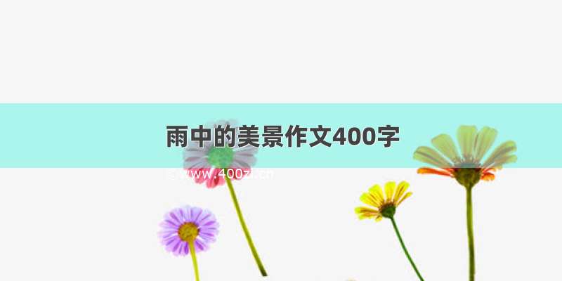 雨中的美景作文400字