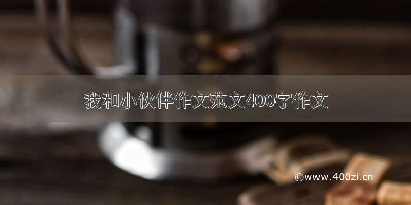 我和小伙伴作文范文400字作文