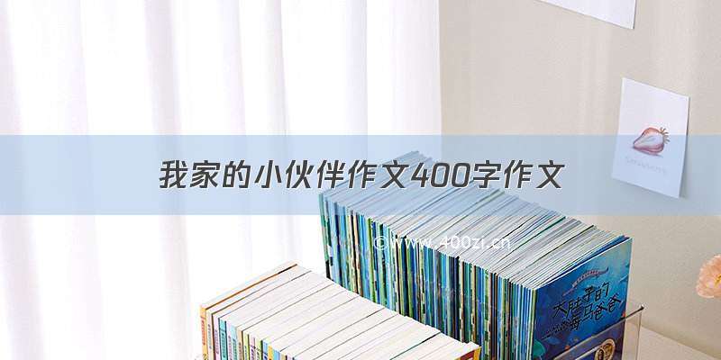 我家的小伙伴作文400字作文