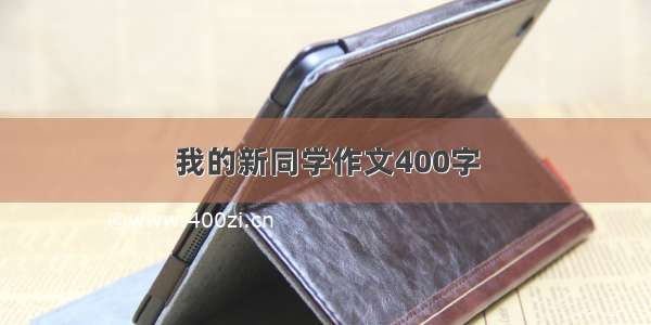 我的新同学作文400字