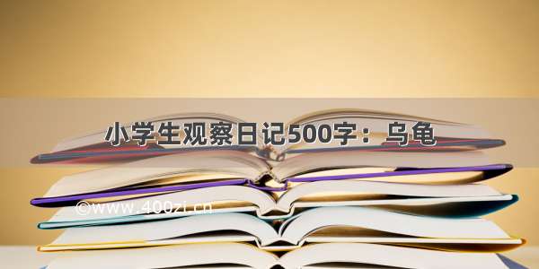 小学生观察日记500字：乌龟