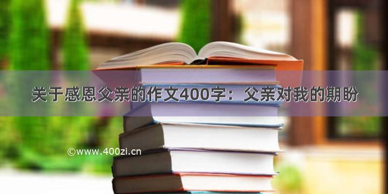 关于感恩父亲的作文400字：父亲对我的期盼