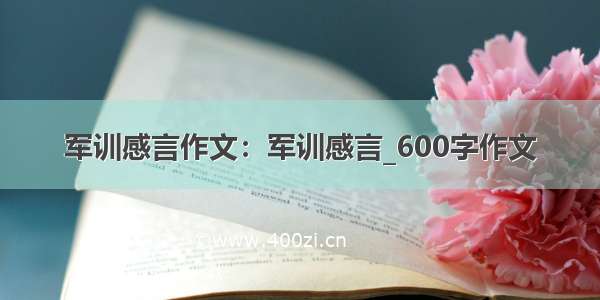 军训感言作文：军训感言_600字作文