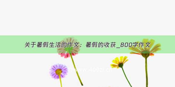 关于暑假生活的作文：暑假的收获_800字作文