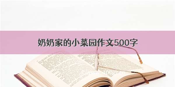 奶奶家的小菜园作文500字