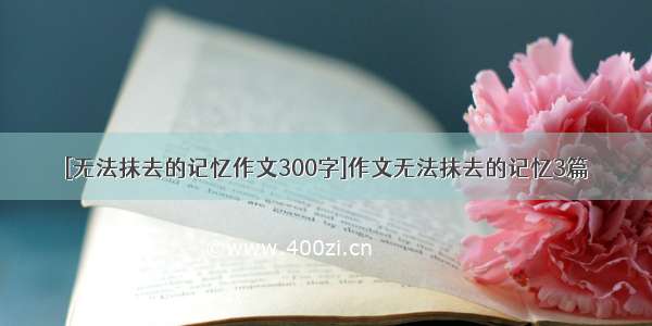 [无法抹去的记忆作文300字]作文无法抹去的记忆3篇