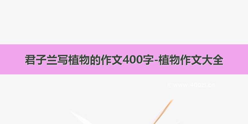 君子兰写植物的作文400字-植物作文大全