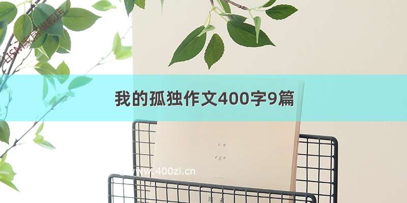 我的孤独作文400字9篇