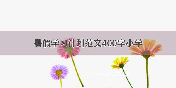 暑假学习计划范文400字小学