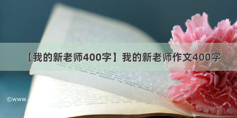 【我的新老师400字】我的新老师作文400字