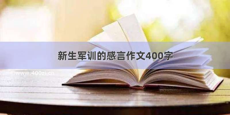 新生军训的感言作文400字