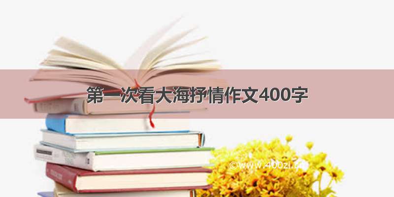 第一次看大海抒情作文400字