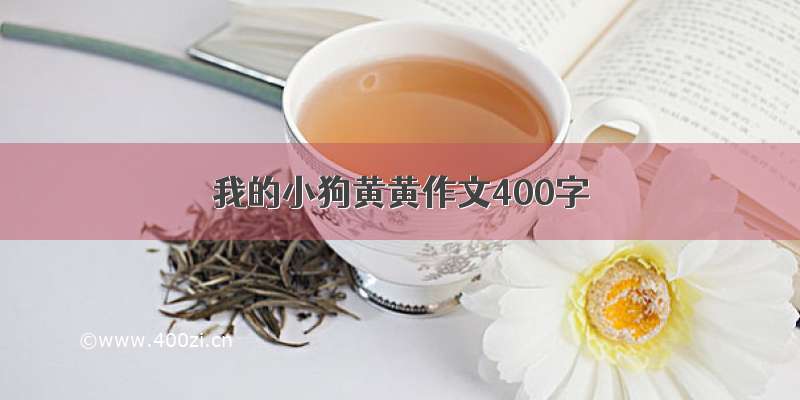 我的小狗黄黄作文400字